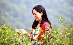 美国十次啦怎么看不了